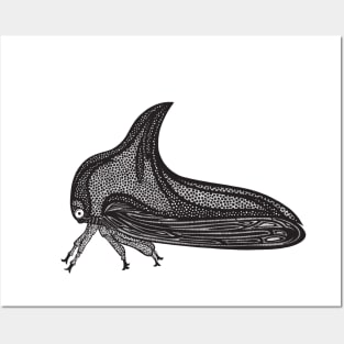 Treehopper Ink Art - cool insect design - on white Posters and Art